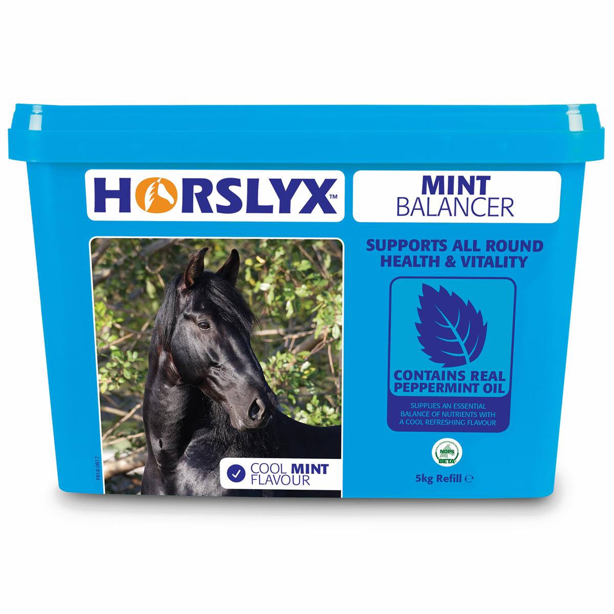 Derby® Horslyx Mint Leckstein für Pferde, 5 kg