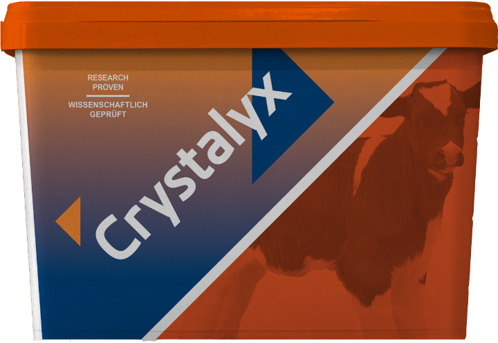 Crystalyx Mentholyx Orange, 5 kg