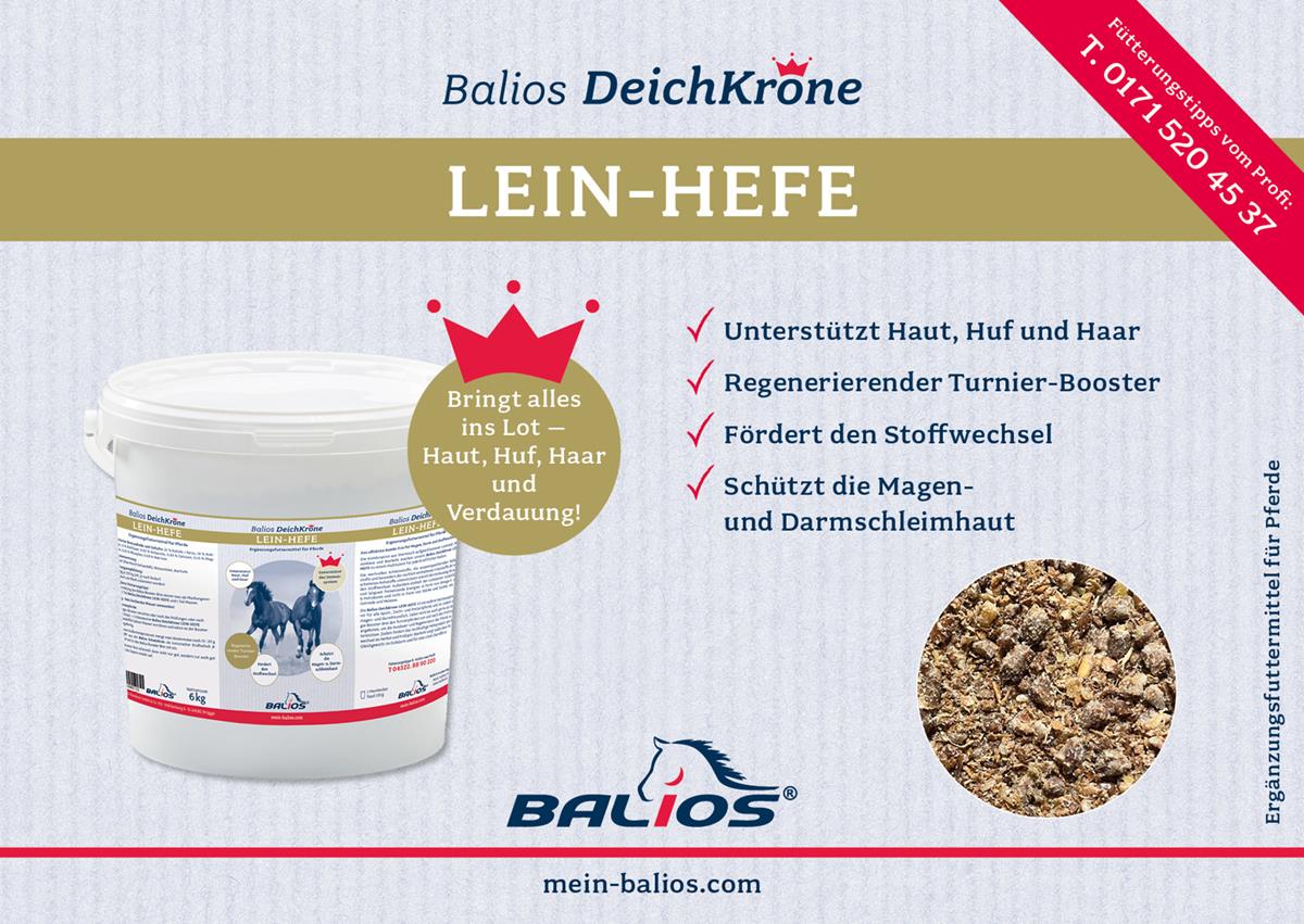 Balios Best Lein-Hefe til heste, 6 kg