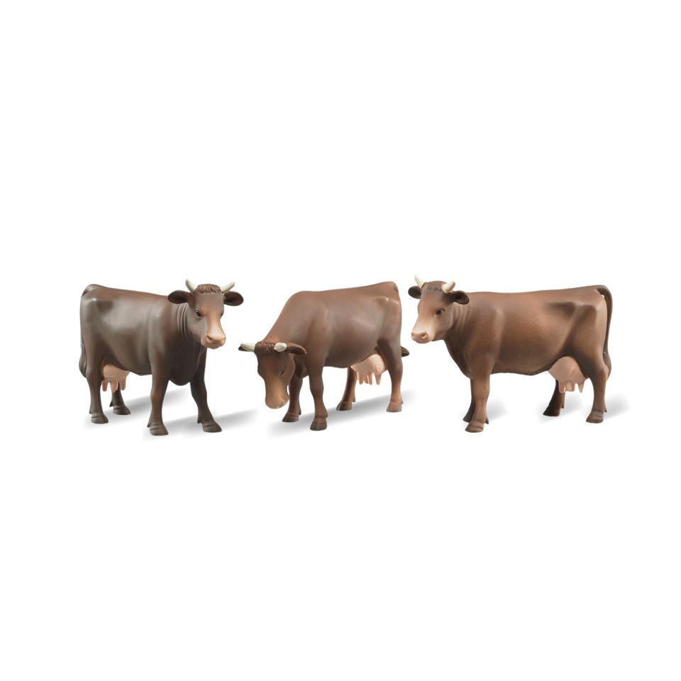 Bruder ko, forskellige varianter