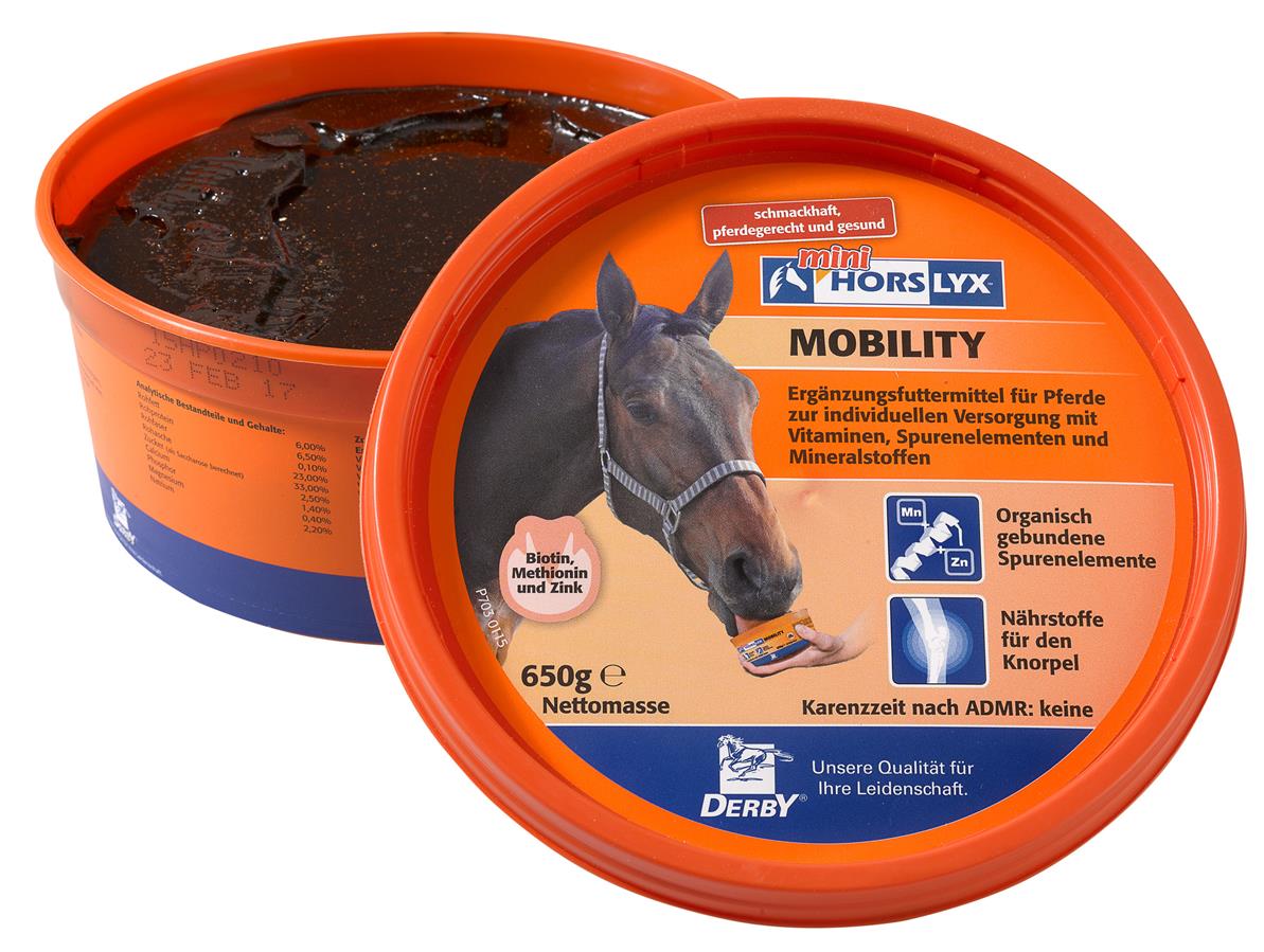 Derby® Horslyx sliksten til heste, Mobility, 650 g