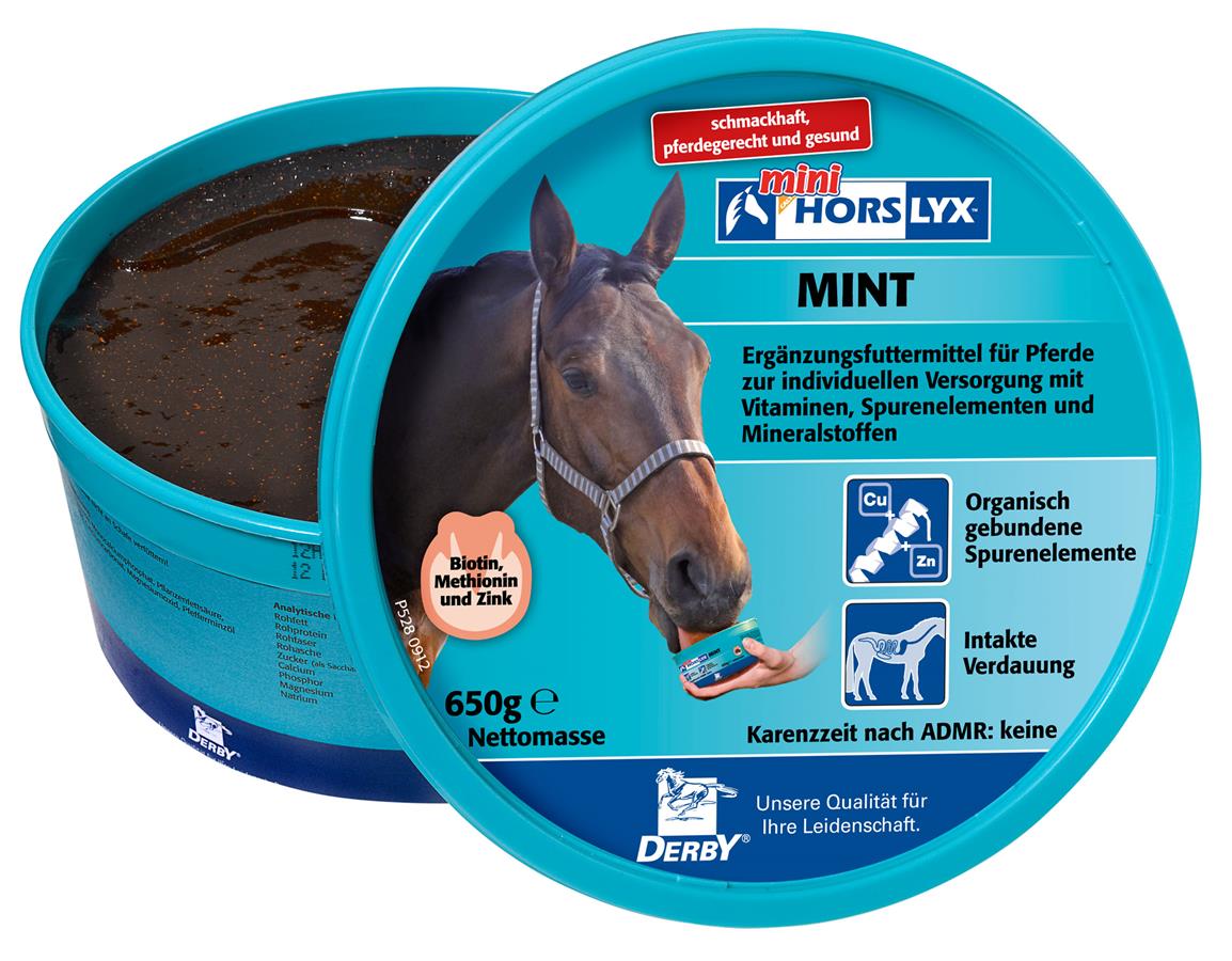 Derby® Horslyx sliksten til heste, Mint, 650 g