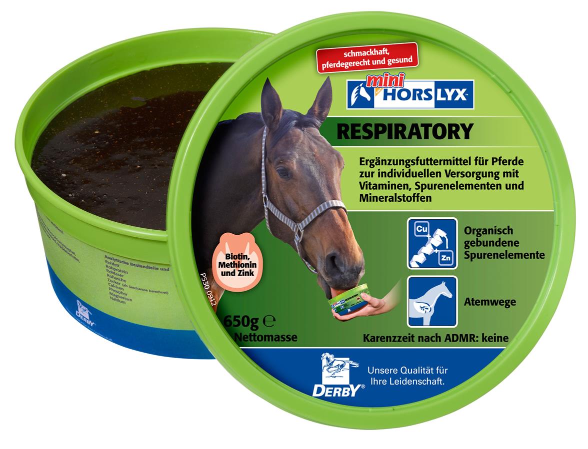 Derby® Horslyx sliksten til heste, Respiratory, 650 g