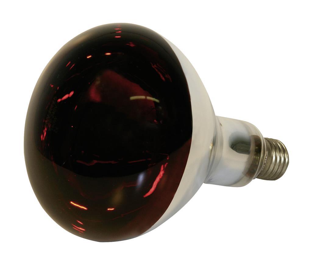 Kerbl Infrarødlampe, 250 W, hærdet glas, rød